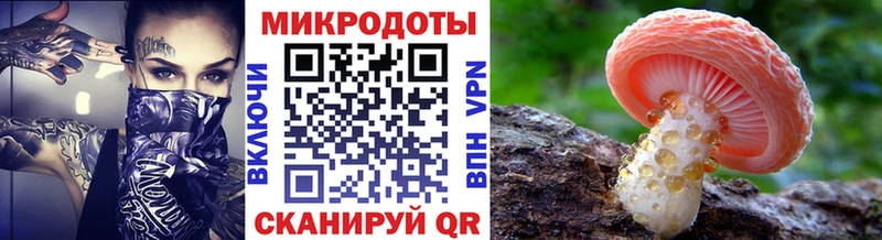 hydra зеркало  Брюховецкая  Галлюциногенные грибы Psilocybine cubensis 